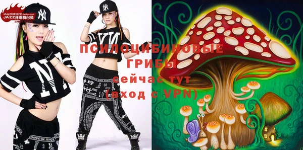 синтетический гашиш Верхний Тагил