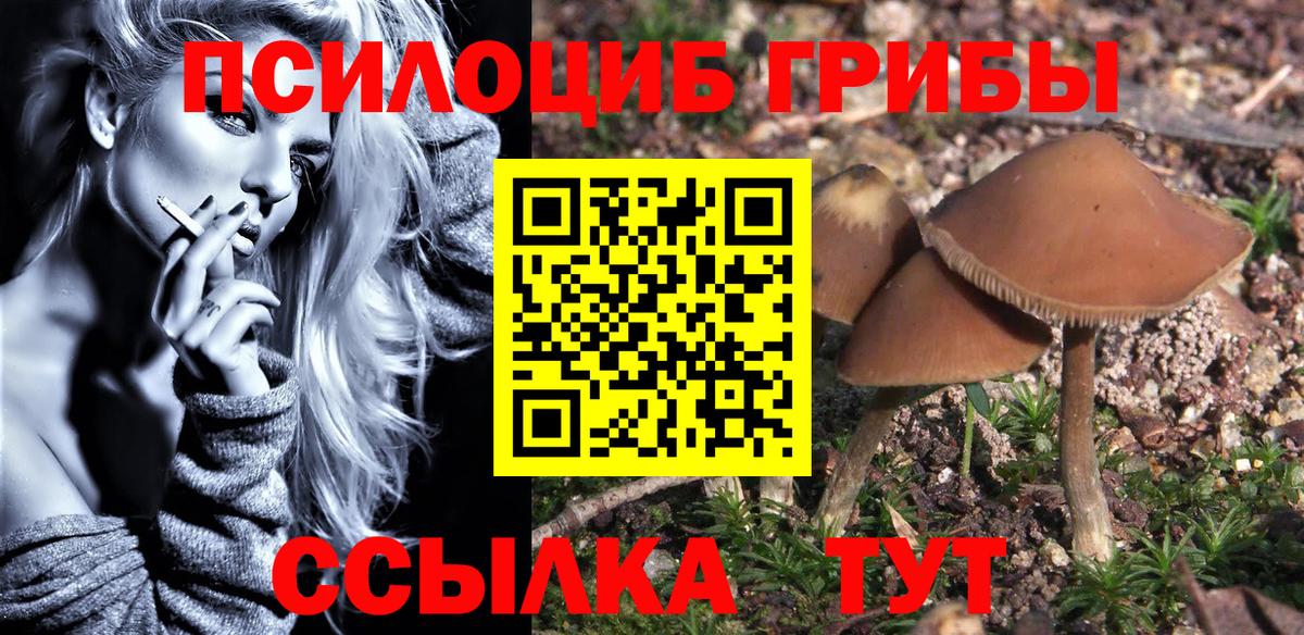 Галлюциногенные грибы мицелий  Вход с VPN  Псилоцибиновые грибы мицелий  Выборг 
